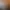 Darts
